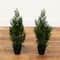 2ft. Potted UV Resistant Cedar Pine Trees, 2ct.
